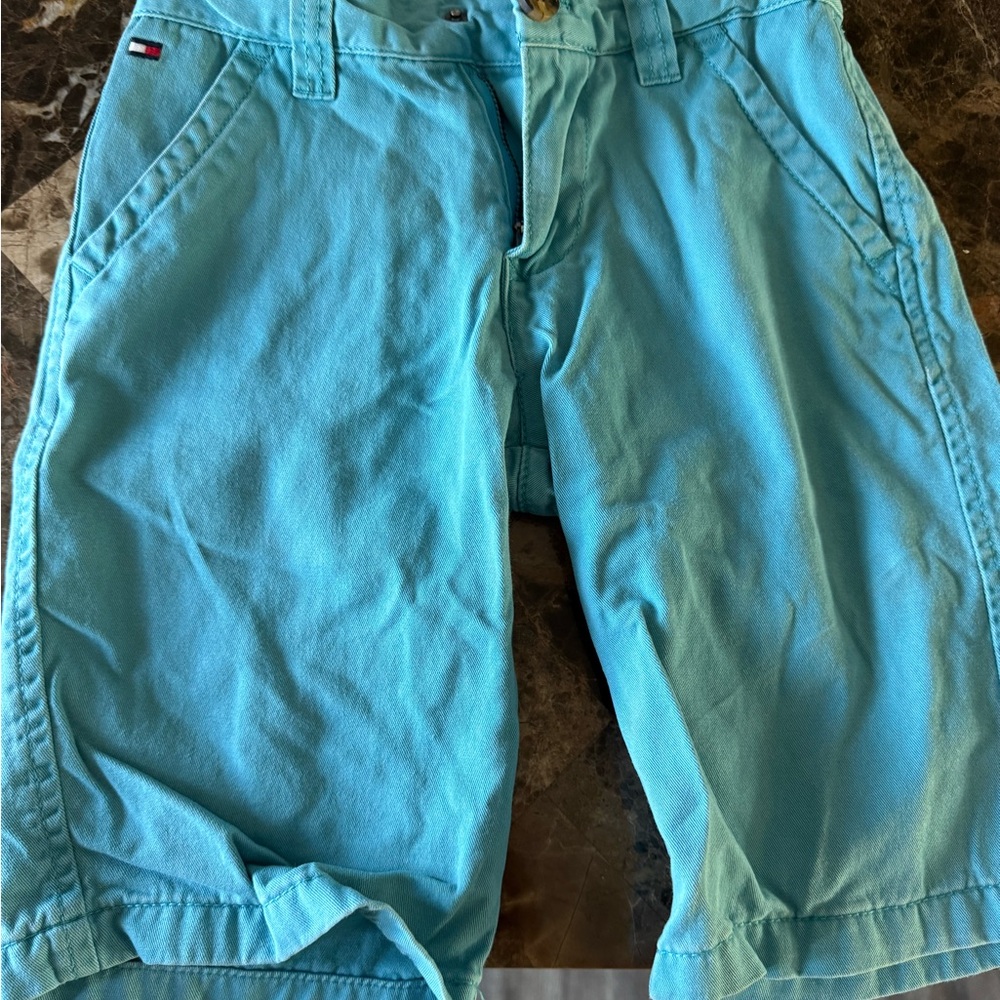 Tommy Hilfiger Blue Flat Front Shorts